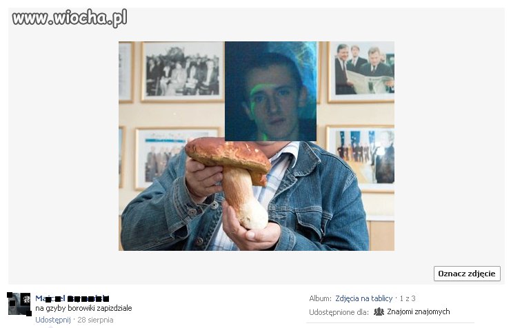 Taka se fotka z grzybobrania