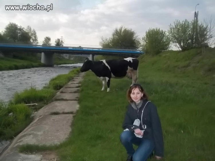 Koleżanki
