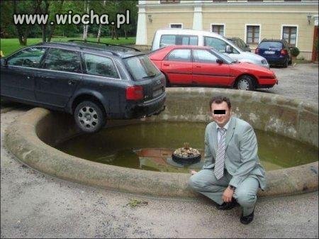 Mistrz parkowania tyłem