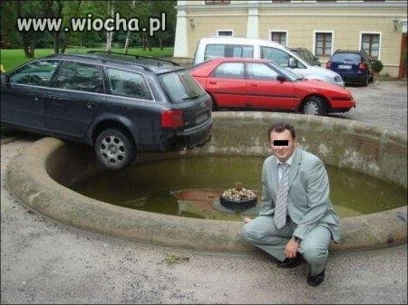 Mistrz parkowania tyłem