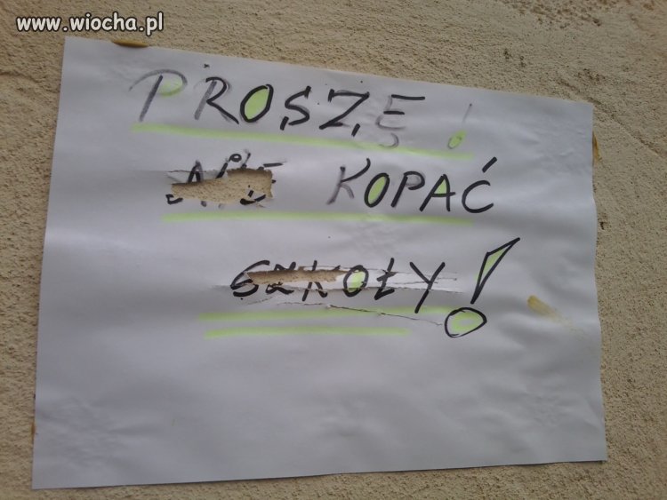 Bo Szkoły