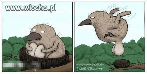 Hehehe