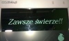 Powiew świeRZości