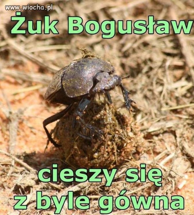 Ze świata
