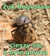 Ze świata