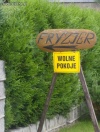 Fryzjer