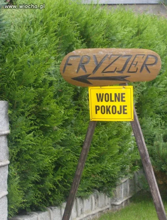 Fryzjer