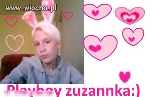 Króliczek Playboya