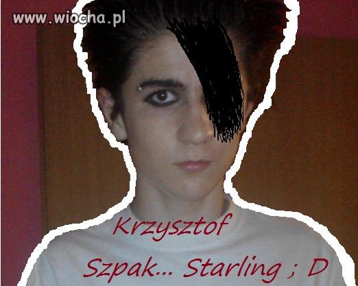 Mistrz painta powraca