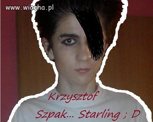 Mistrz painta powraca