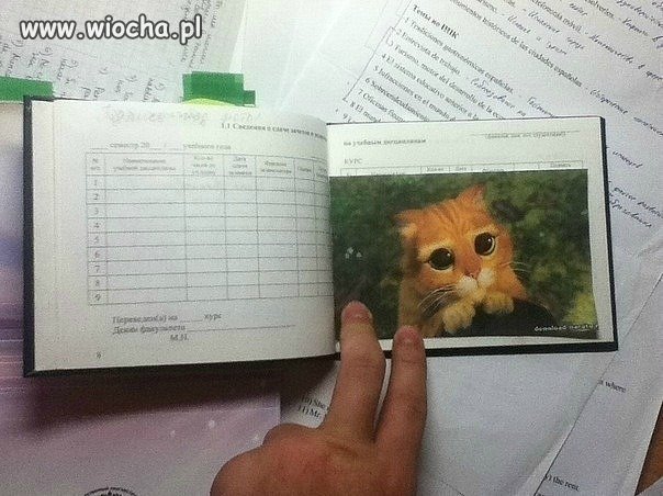 Jak wziąć profesora na litość
