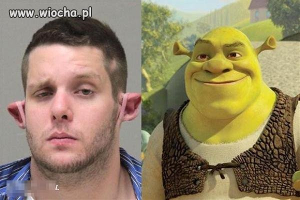 Każdy ma swojego idola