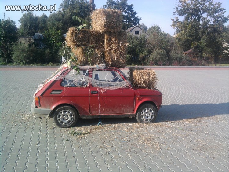 A niby juz dawno po żniwach 
