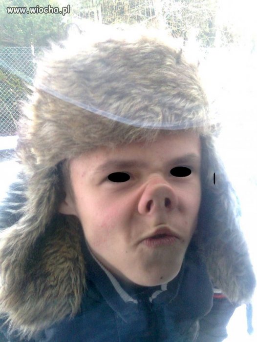 Wieprz
