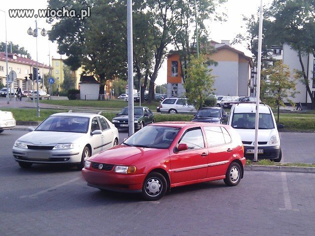 Mistrz parkowania