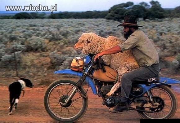 Wiejskie Taxi