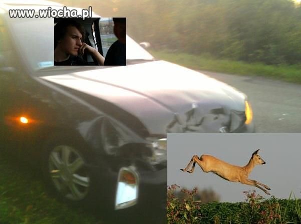 Mistrz fotoszopa 