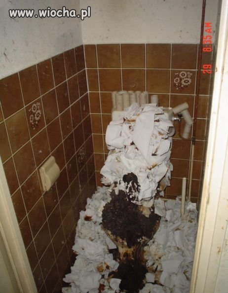 Wszyscy kochamy publiczne toalety