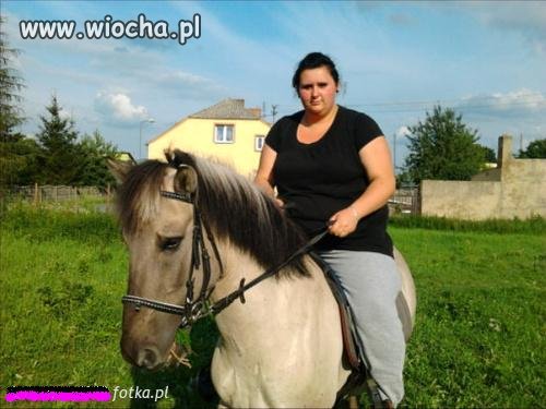 Przepraszam bardzo...