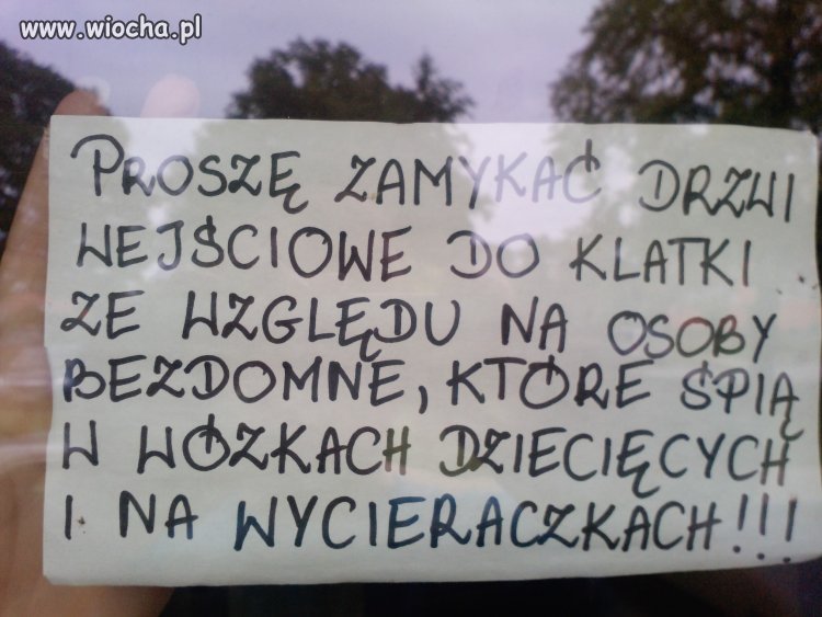 Żule już spią we wózkach