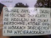 Żule już spią we wózkach