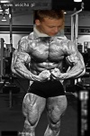 Kolejny mistrz Painta 
