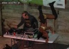 DJ jest - panienka też
