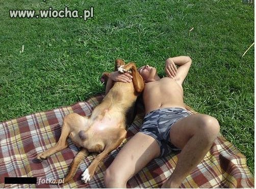 Jaki, Pan takie zwierzę.
