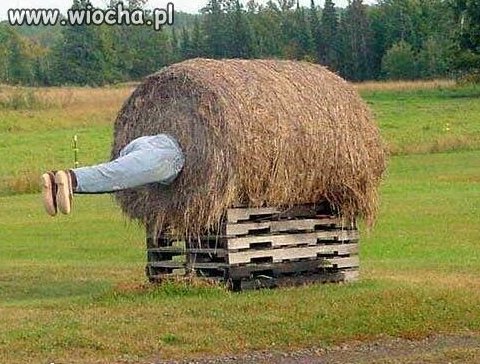 A ty tak zrobisz?