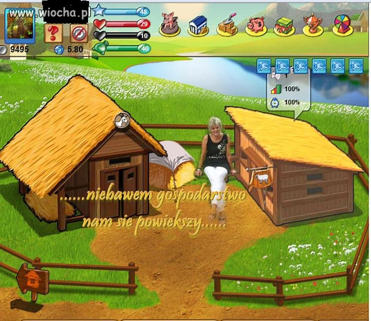 Wirtualny farmer