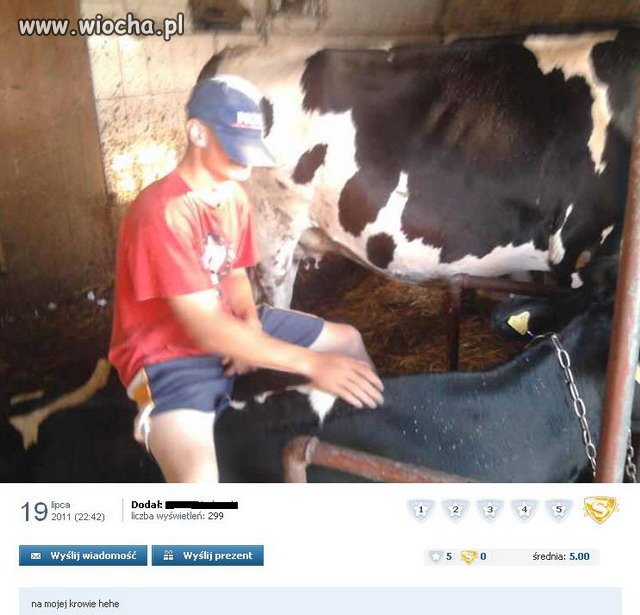 ''na mojej krowie''