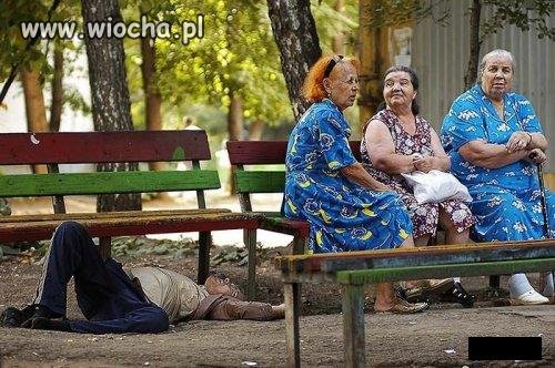 Nie widziałyście mojego Władzia?
