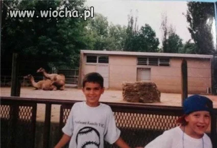 Zdjęcie w zoo...
