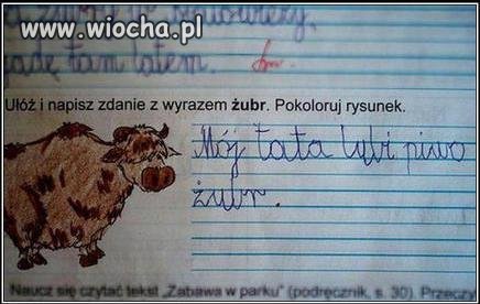 żubr