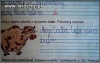 żubr