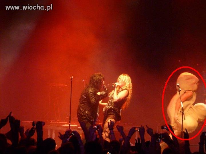 Koncert Ke$hy...