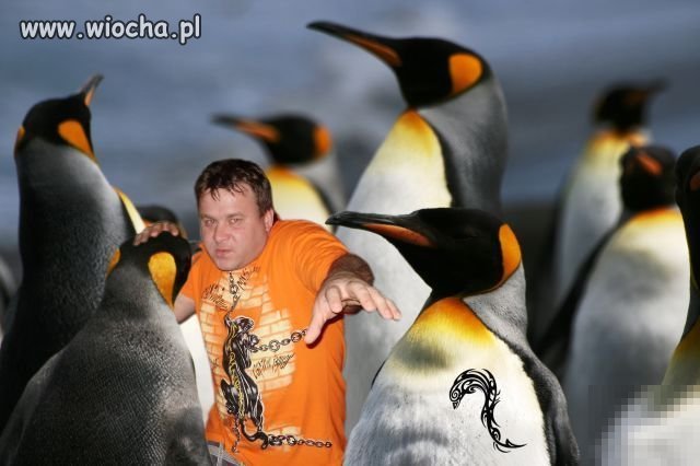Przeróbka w PhotoShopie