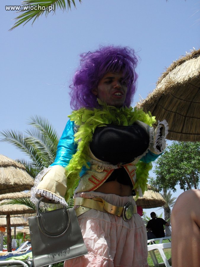 Kiko Romantico 