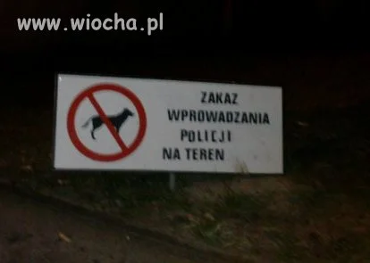 Policja