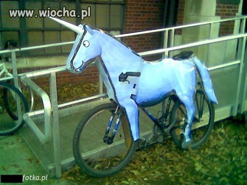 Wszyscy chcą mieć coś z Joli Rutowicz.