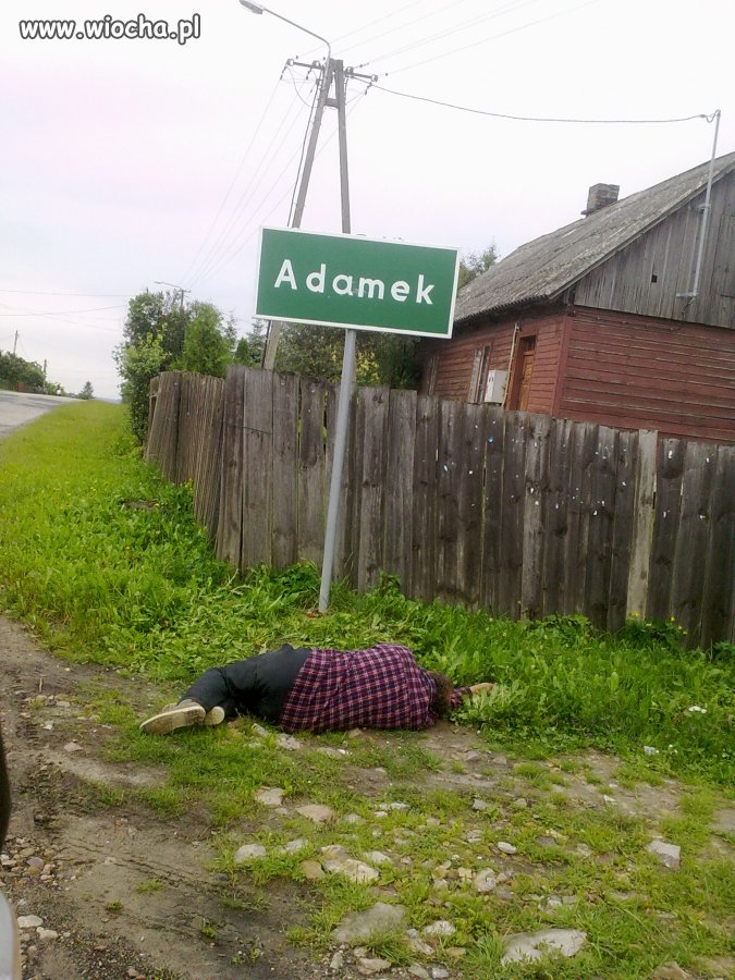 Adamek 
