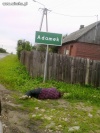 Adamek 