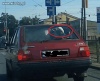 Transport trzody