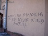 Głosujemy na Pinokia