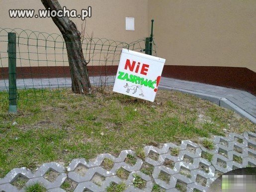 Prosty przekaz