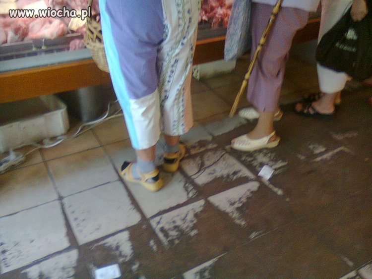 Moda