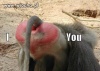 Haha..