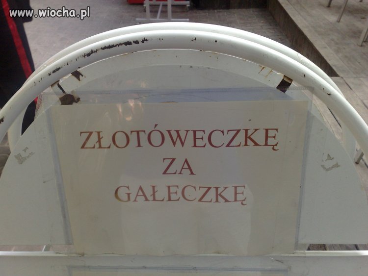NIC DODAĆ NIC UJĄĆ 