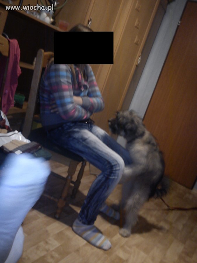 Napalona suczka...