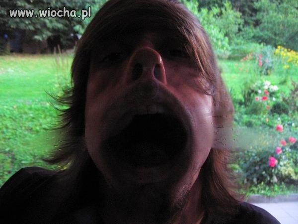 Glonojad 